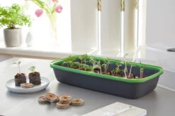 BoQube M &amp; FLORTUS Kokos Quelltöpfe (24 Stück) | Anzuchtzubehör Set Von FLORTUS -Premium-Saatgut-Düngemittel-Shop 562697 BoQube M und FLORTUS Kokos Quelltoepfe 24 Stueck 2000 2385 anthrazit 3