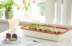 BoQube M &amp; FLORTUS Kokos Quelltöpfe (24 Stück) | Anzuchtzubehör Set Von FLORTUS -Premium-Saatgut-Düngemittel-Shop 562697 BoQube M und FLORTUS Kokos Quelltoepfe 24 Stueck 2000 2385 kupfer 2