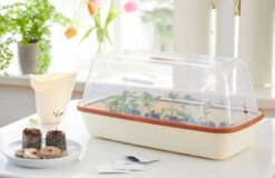 BoQube M &amp; FLORTUS Kokos Quelltöpfe (24 Stück) | Anzuchtzubehör Set Von FLORTUS -Premium-Saatgut-Düngemittel-Shop 562697 BoQube M und FLORTUS Kokos Quelltoepfe 24 Stueck 2000 2385 kupfer 3