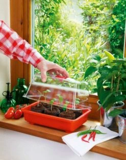 Zimmergewächshaus Veggie | Zimmergewächshaus Von Romberg -Premium-Saatgut-Düngemittel-Shop 832