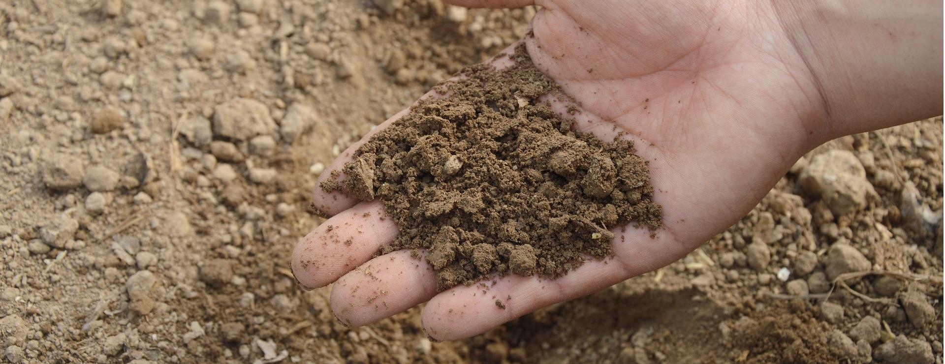 Premium-Saatgut-Düngemittel-Shop -Premium-Saatgut-Düngemittel-Shop soil 766281 1920